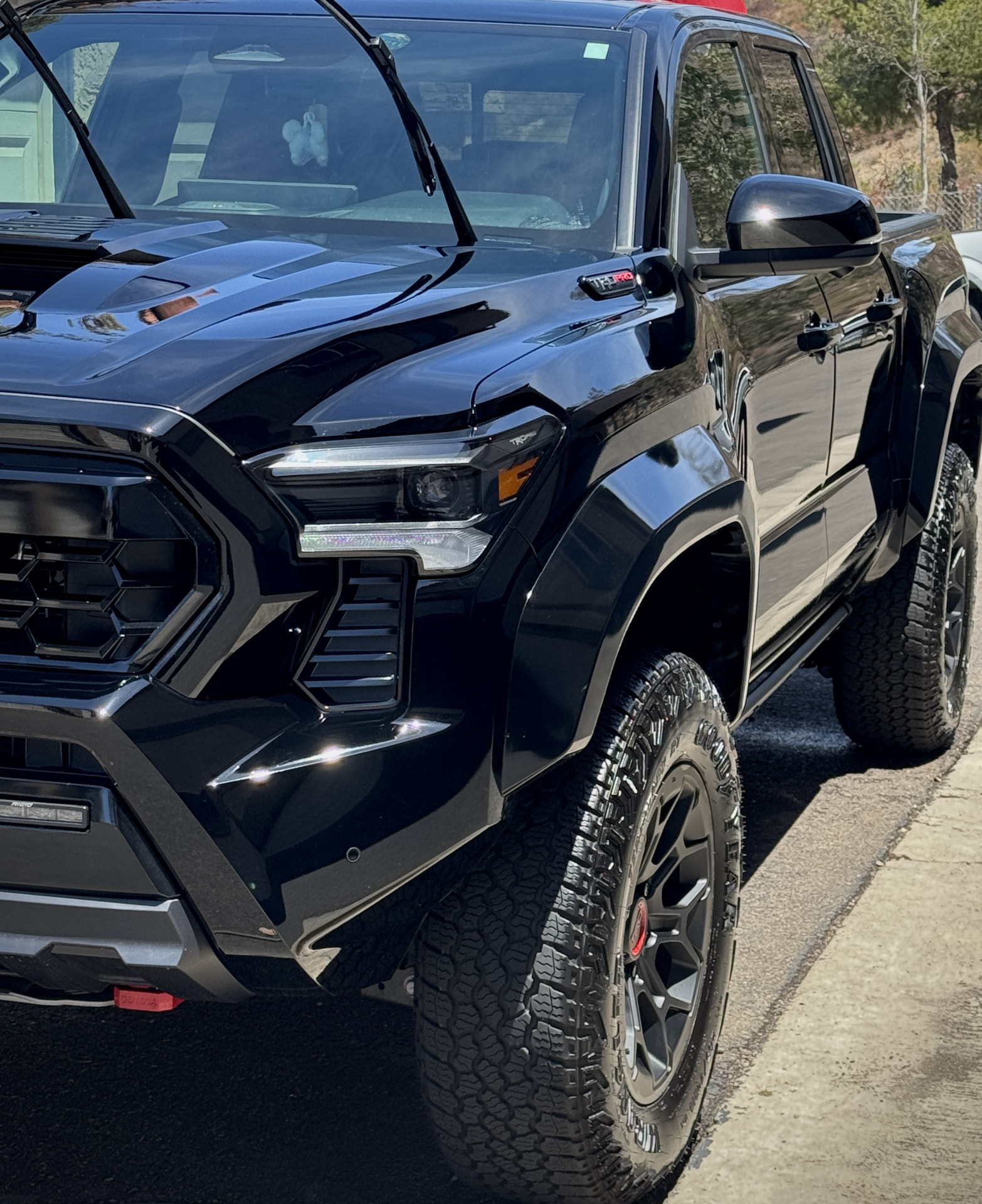 Black Toyota Tacoma TRD Pro after a full exterior detail