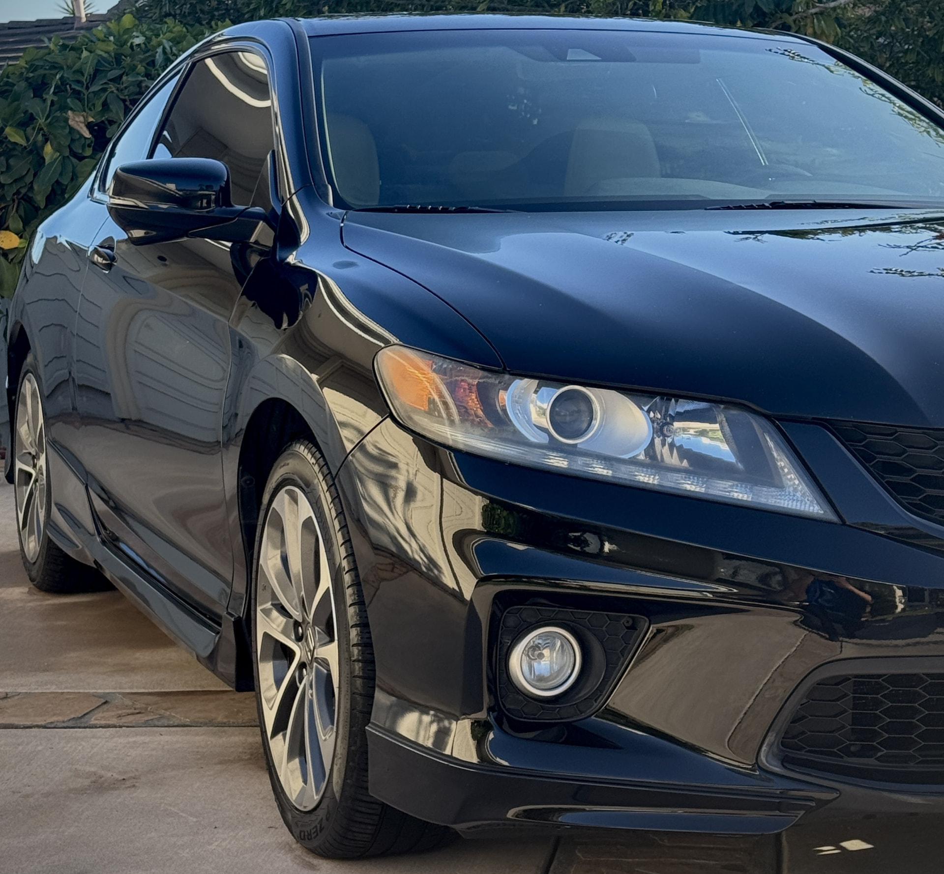 Maintenance Detail — Dopamine Detail San Diego